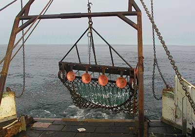 Nantucket Fishermen Want Ban on Fish Draggers, Scallop Dredges to Rebuild Dwindling Squid Stocks